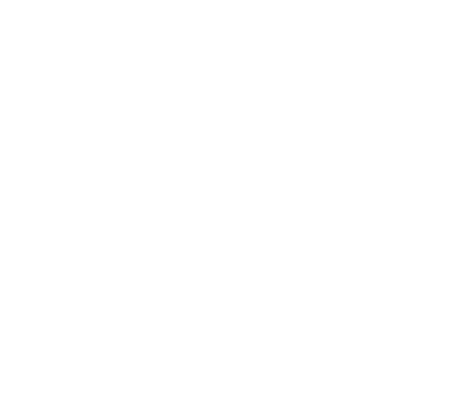 Logo Leila